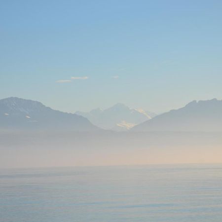 Bnb Chez Fanfan Morges Ngoại thất bức ảnh